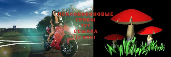 Альфа ПВП Баксан